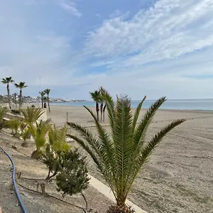 Paradise Apartamento